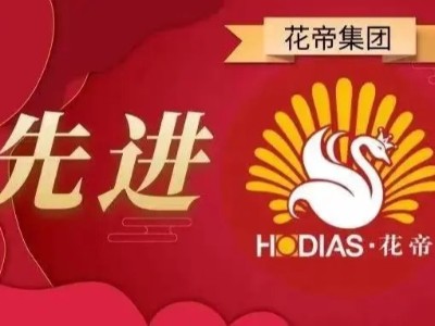 榜樣的力量 | 花帝HODIAS12月份先進(jìn)員工